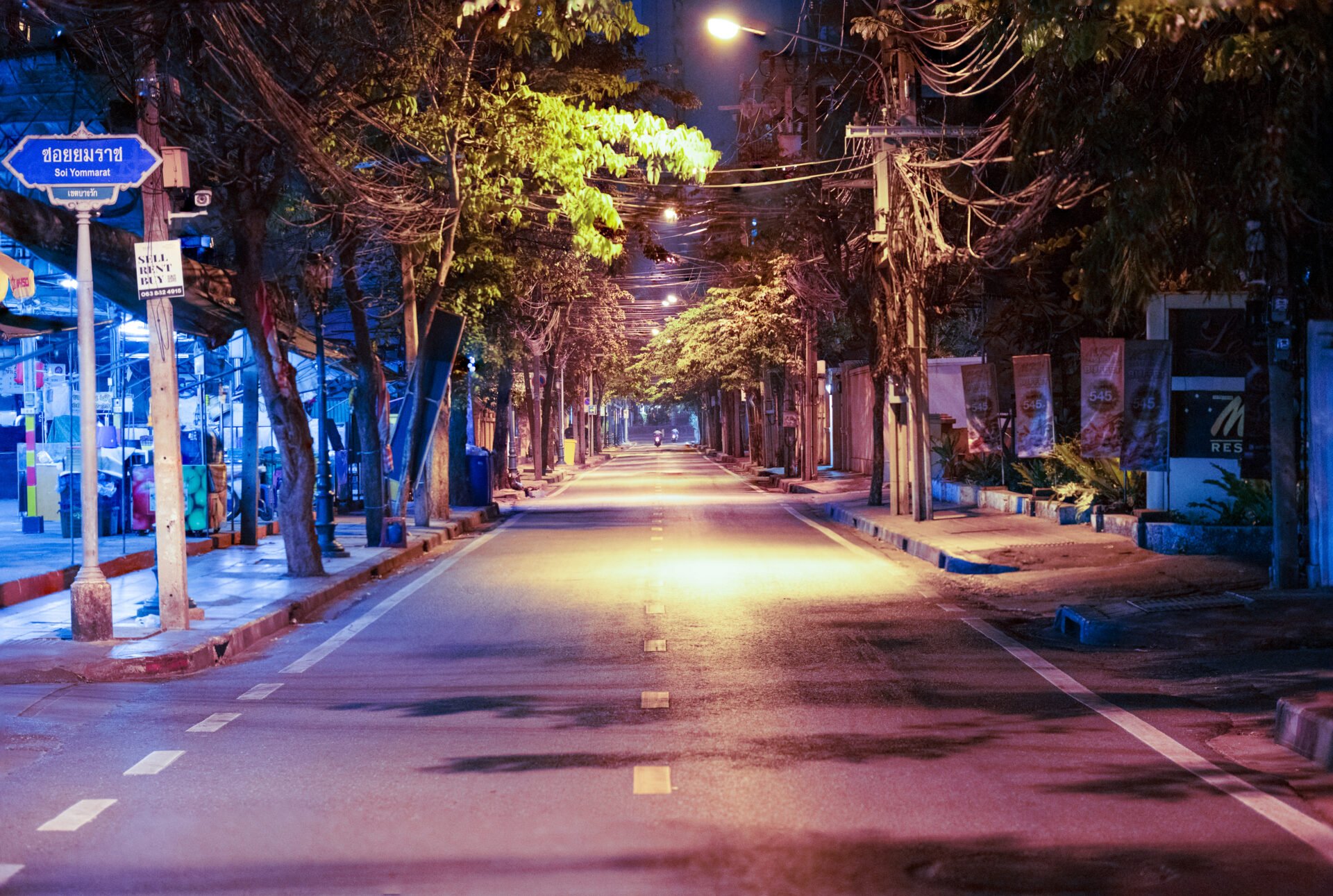 A deserted urban street at night illuminated by overhead lights, with trees arching over the road and various signs and shops along the sidewalks.