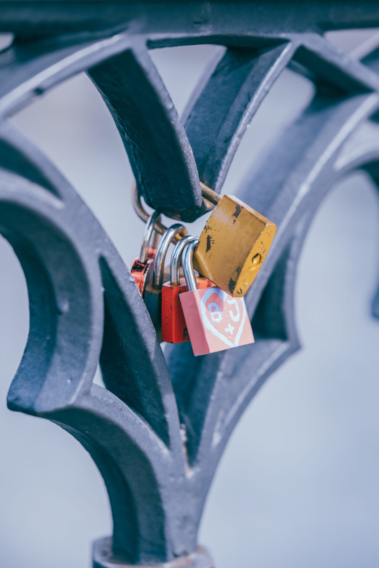 Here's a cluster of promise—love locks fastened to a bridge, a modern ritual in urban landscapes. Each padlock, a small sentinel of personal stories, bears witness to the love it's meant to symbolize. They’re a colorful pause in the monochrome of daily life, silently speaking of bonds that hope to withstand time.