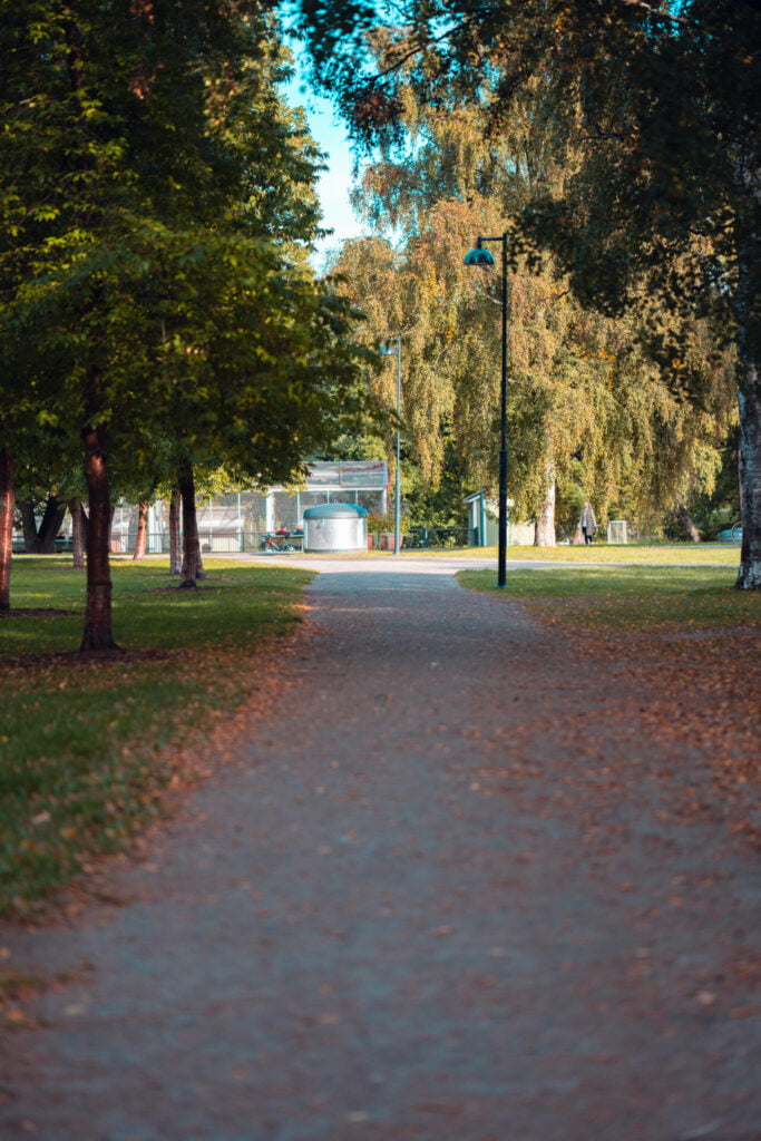 2023 09 14 - 154640 - Milan Ivanovic Photography Tree-lined park pathway leading to a bus stop, showcasing the blend of nature and city life.