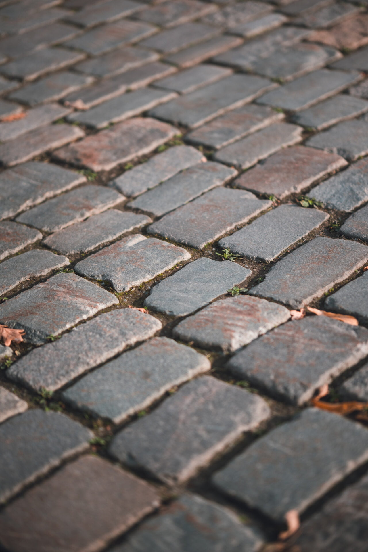 2023 09 14 - 155647 - Milan Ivanovic Photography Close-up of an uneven cobbled street with small tufts of grass sprouting between the stones, invoking a sense of history and resilience.